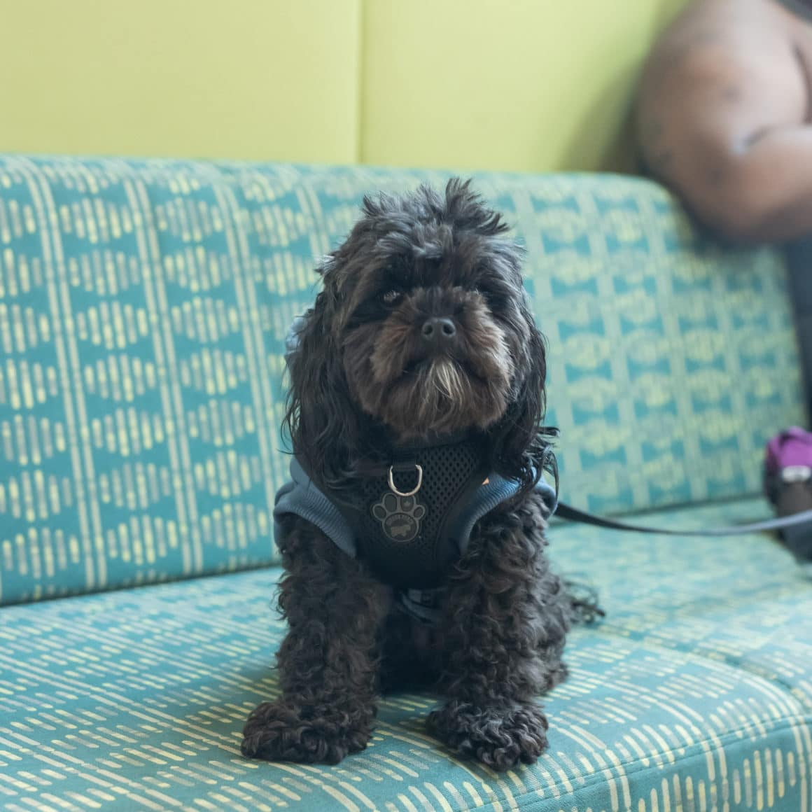 Photo credit: Elizabeth Rymut.