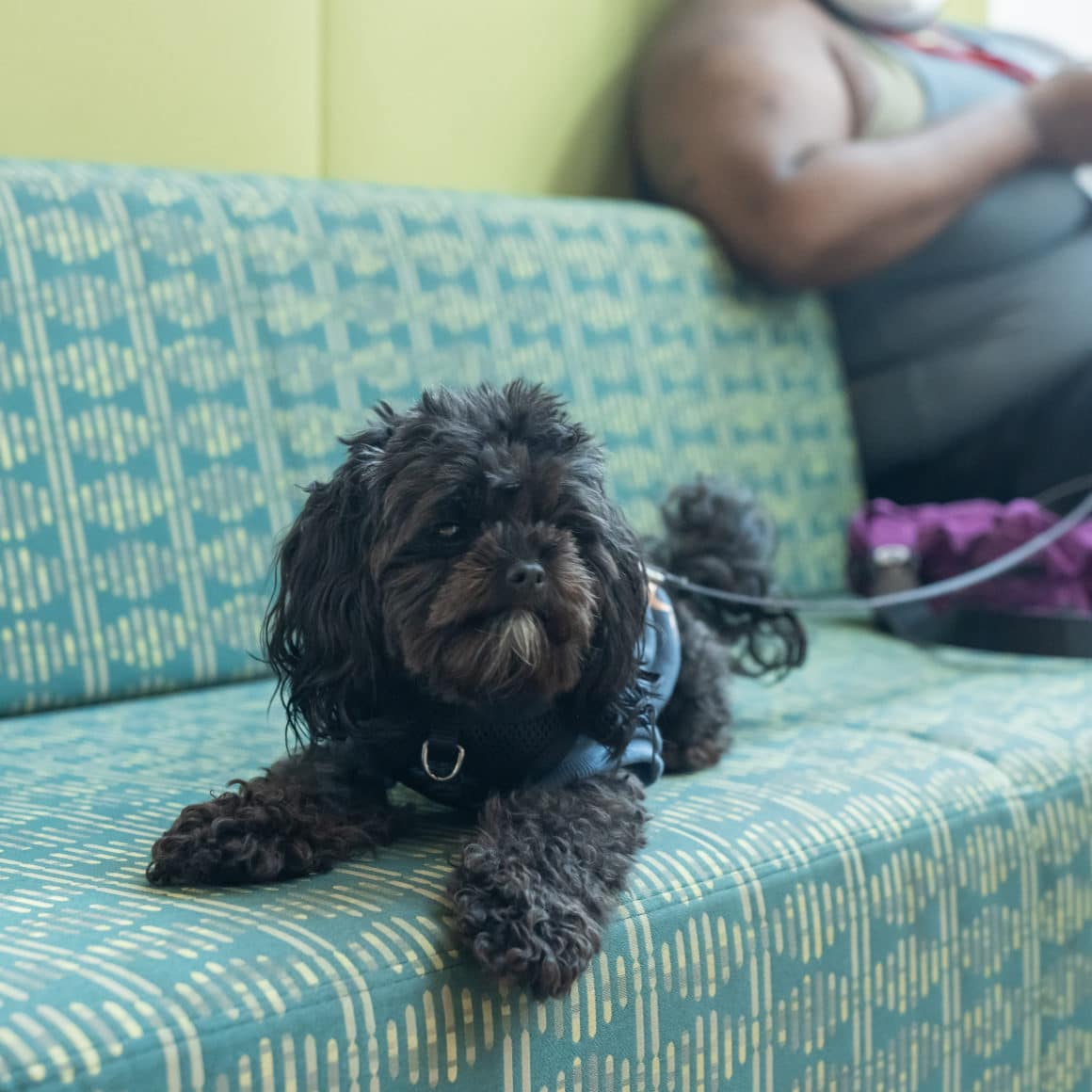 Photo credit: Elizabeth Rymut.